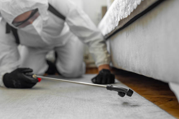 Professional Termite Control technician working in Gonzalez, FL